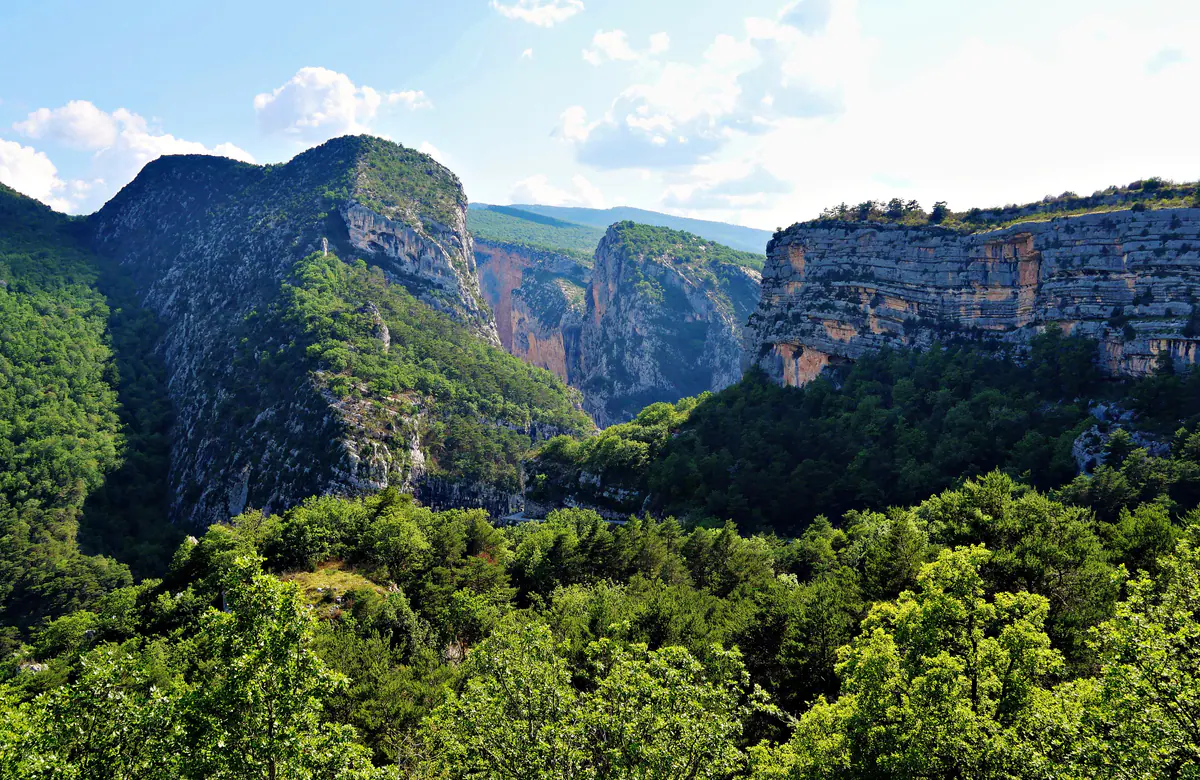 Les falaises boisées du canyon du Verdon vues du Point Sublime, sous un ciel nuageux