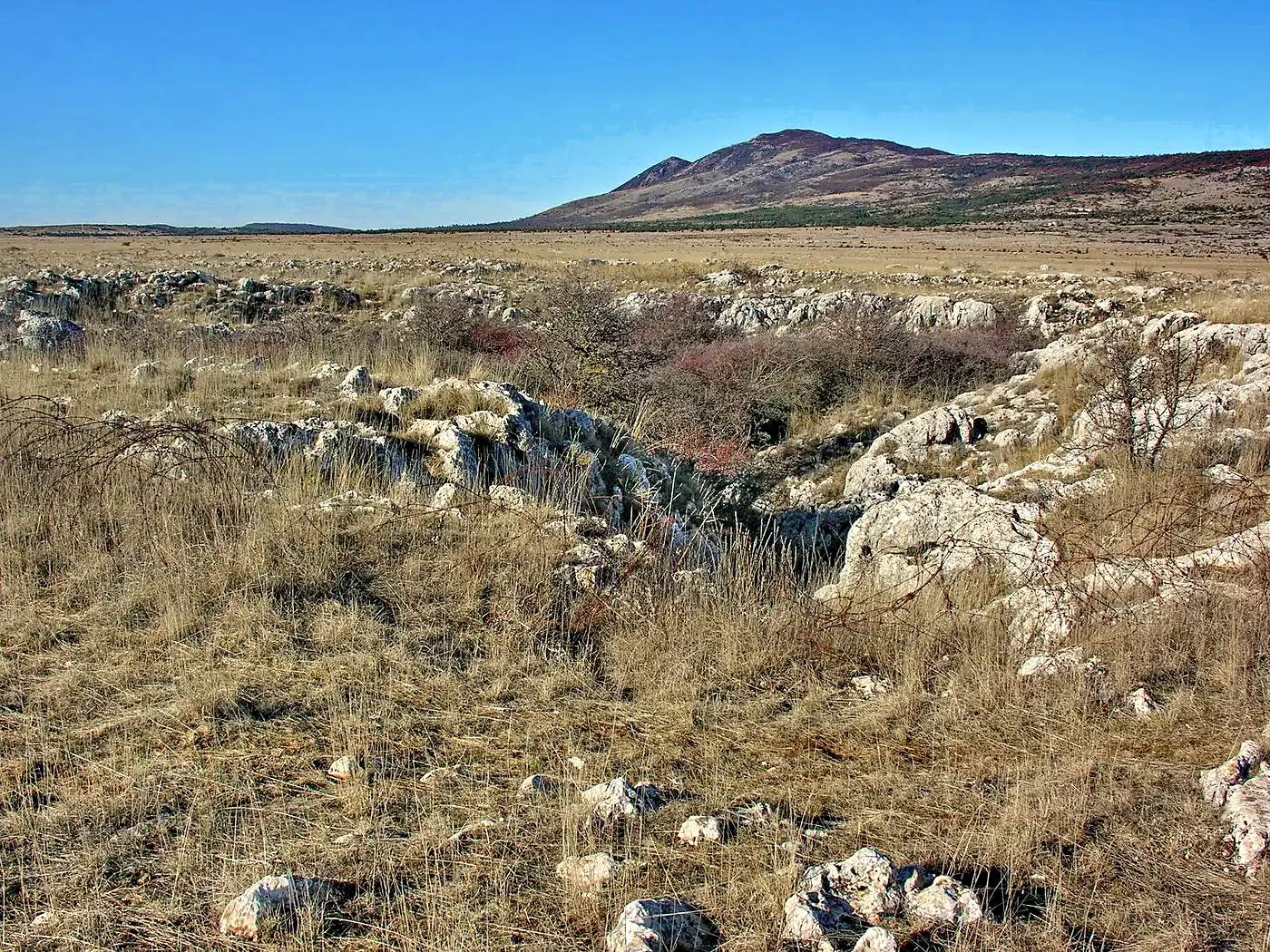 Le plateau karstique du Grand Margès en hiver, vu depuis le secteur de Canjuers, Gorges du Verdon