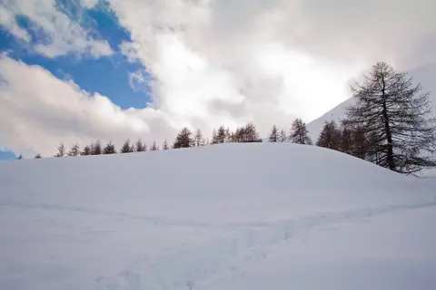 Trace dans la neige fraîche entre les mélèzes du Val d'Allos, sous un ciel bleu traversé de nuages